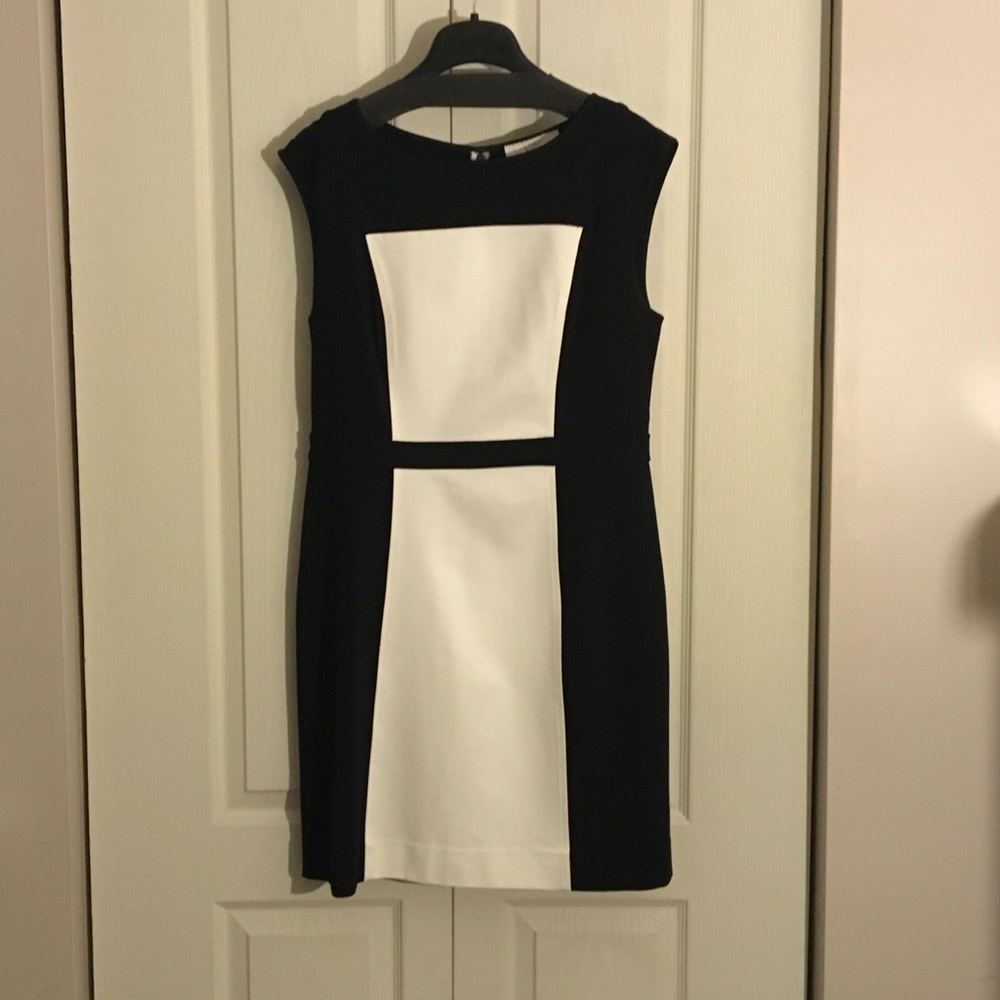 Ann Taylor Loft Dress
